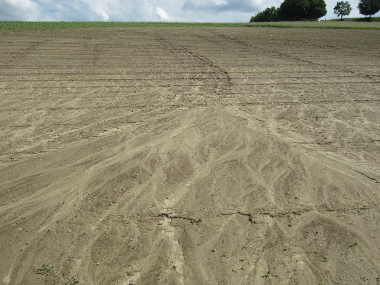 Erosion auf einem Acker