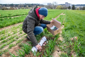 Citizen Scientist enterre les slips et les sachets de thé