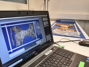 Digitale Auswertung der abgebauten Unterhose
